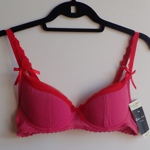 Camie Amber 36B NWT Pink Red Bra Valentine's Day